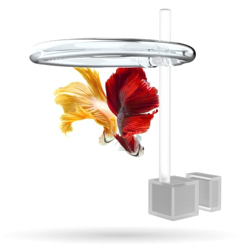 Magnetic Invisible Feeding Ring (Customizable and Auto-Leveling) Food Portal for Floating Plant Aquariums and Fish Tanks (Two-Pack)