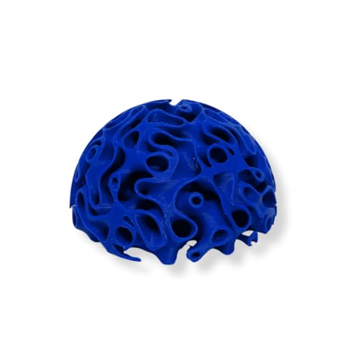 REEFSHAPE Aquarium Coral Reef Dome - Aquarium Reef Replica for Fish Shelter & Egg Laying - Aquarium Safe Dome Structure for Fish Shrimp & Aquatic Pets (Royal Blue) - color: Royal Blue