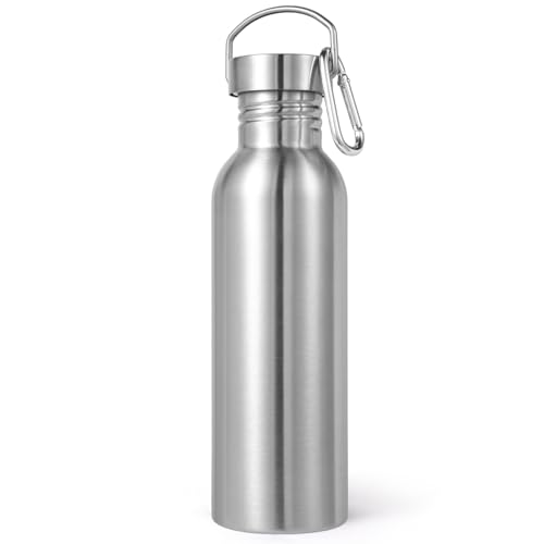 Volhoply 26oz Uninsulated Single Walled Water Bottle, Stainless Steel Reusable Water Bottles with Handle & Carabiner, BPA Free Wide Mouth Water Bottles for Gym Sports Camping(Silver,1) - color: Silver