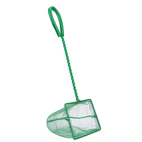 Lpraer 4in 5in 6in Aquarium Fish Net Green Fine Mesh Nylon Net Collection with 11" Long Handle Square Quick Catch Fish Net for Fish Tank - color: Green, size: 4 inch