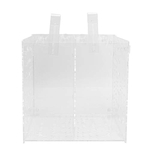 Acrylic Fish Breeding Box 20x20x20cm Mesh Rearing Trap for Baby Shrimp Clownfish Guppy, Isolation Board Prevents Adult Attack, Adjustable Suction Cup Fixation for Aquarium Hatchery (20MC - size: 20MC *20CM*20CM