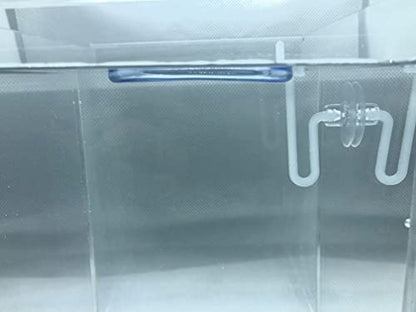 12+ Leaves Water Lettuce (Dwarf) + Invisible Feeding Ring — Live Floating Plant for Aquarium (Pistia stratioes) by Aquarigram - size: Plants + Invisible Feeding Ring (see video)