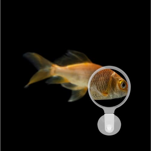 Mipcase Aquarium Magnifier, Acrylic Fish Tank Magnifying Glass, Fish Tank Viewer, Small Animal Magnifier with Suction Fish Tank Magnifying Glass Fish Tank Accessories