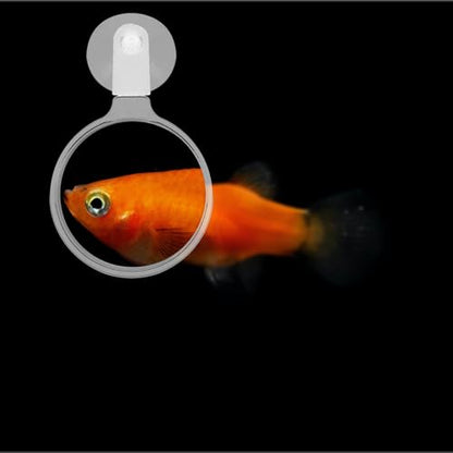Mipcase Aquarium Magnifier, Acrylic Fish Tank Magnifying Glass, Fish Tank Viewer, Small Animal Magnifier with Suction Fish Tank Magnifying Glass Fish Tank Accessories