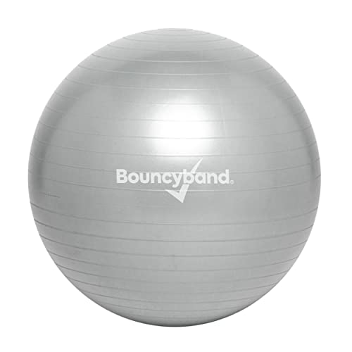 Bouncyband Balance Ball – Create Flexible Seating to Improve Focus at School, Office, or Home with This No-Roll Weighted Ball - color: Silver, size: Medium (Pack of 1)
