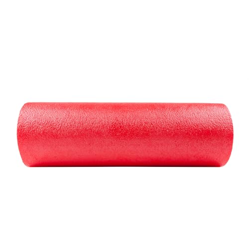 GoFit GoFit Foam Roller with Training Manual - color: Red, size: 18 Inch