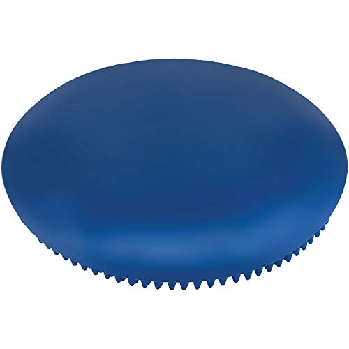Champion Sports Exercise Disc