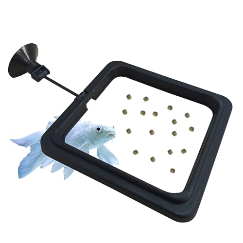 FREESEA Fish Feeding Ring for Aquarium: Square Betta Floating Feeding Ring for Fish Tank - size: Square