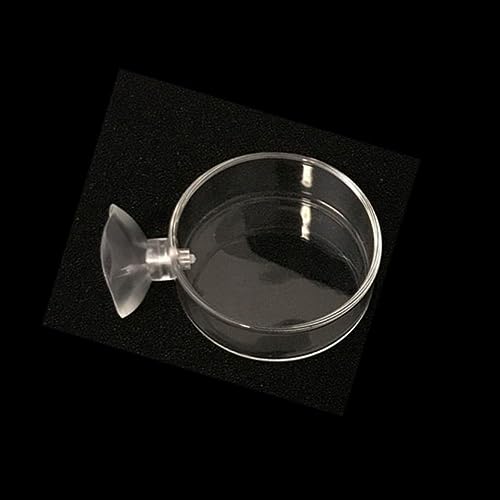 Shrimp Food Box, Round/Square Practical Fish Feeding Bowl, Acrylic Transparent Aquarium Accessories Fish Feeding Dish Shrimp Food Feeding Circle(C) - style: C