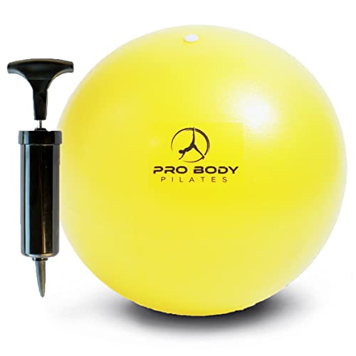 ProBody Pilates 볼 펌프 포함 소형 운동 공, 22.9cm(9인치) 바레 볼, 미니 소프트 요가 볼, 안정성을 위한 운동 공, 바, 피트니스, 복근, 코어, 물리 치료 및 물리 치료 공, 가정 체육관 및 사무실 - color: 옐로우