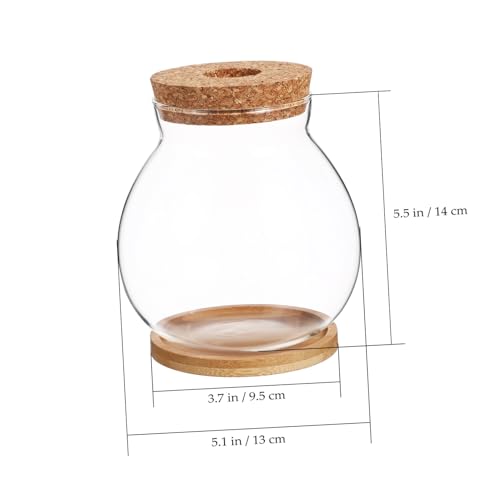 TOYANDONA Desktop Hydroponic Glass Fish Bowl with Lid and Mat Small Betta Fish Tank for Aquatic Plants Terrarium Vase for Home Office Decor