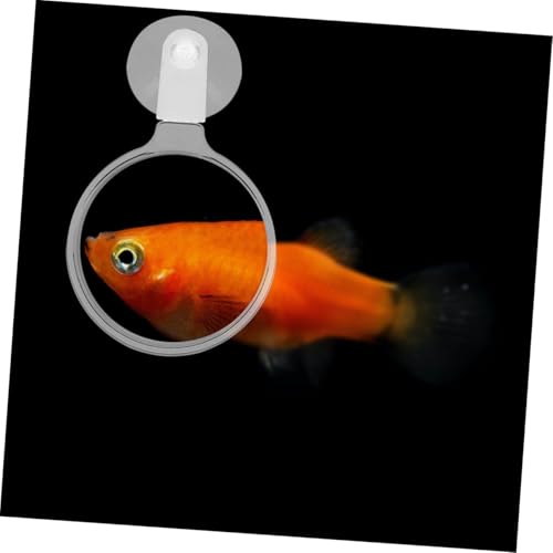 4pcs Acrylic Fish Tank Glass Cup for Close-up Viewing of Betta Fish Landscapes Ants Spiders and Plants Easy Installation and Observation Tool