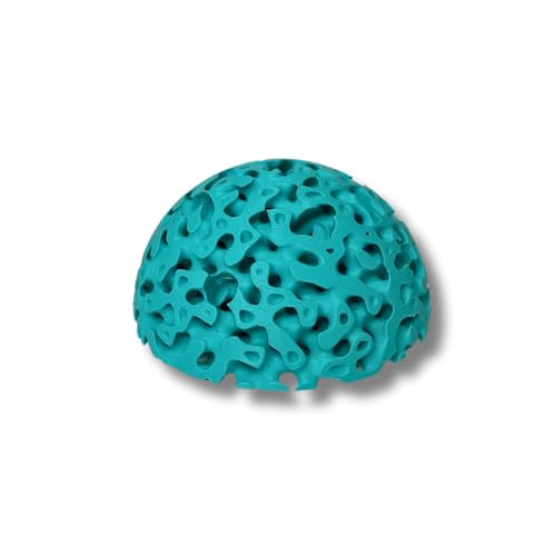 REEFSHAPE Aquarium Dome Coral Frag Stand | Coral Reef Replica Frag Stand Base for Growing Coral | Displays Multiple Frags | Made in USA (Aqua Teal) - color: Aqua Teal