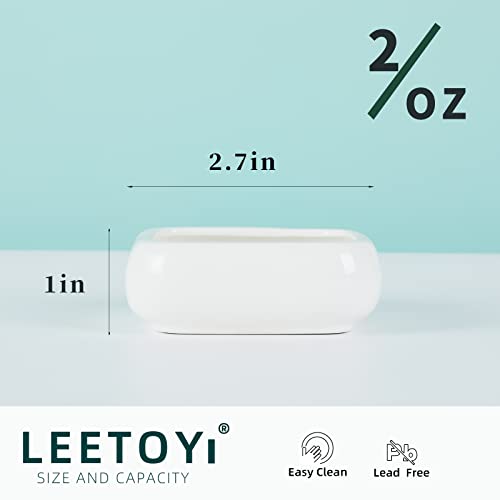 Ceramic Reptile Food Bowls, Reptile Water Food Dish (White, Small 2-Pack)