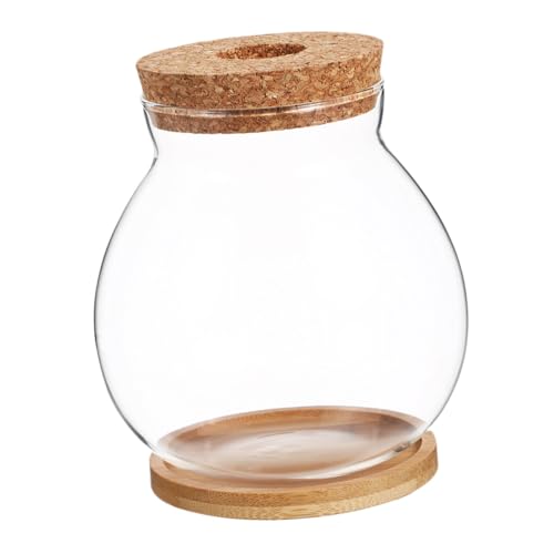 Happyyami Small Fish Bowl with Wood Lid Hydroponic Glass Mini Aquarium 10x11cm with Mat Desktop Fish Tank and Home Office Decor