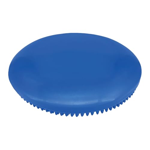 Champion Sports Exercise Disc