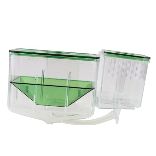 BESPORTBLE Transparent Acrylic Fish Breeding Box Aquarium Isolation Tank for Protecting and Fish Prevents from Adults Suitable for Shrimp and Small Specimens Self Guided with Separate