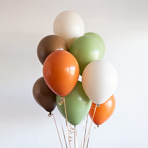 Sage Green Orange Balloon, 60 Packs 12 Inch Latex Balloons - color: Sage Green Brown Cream