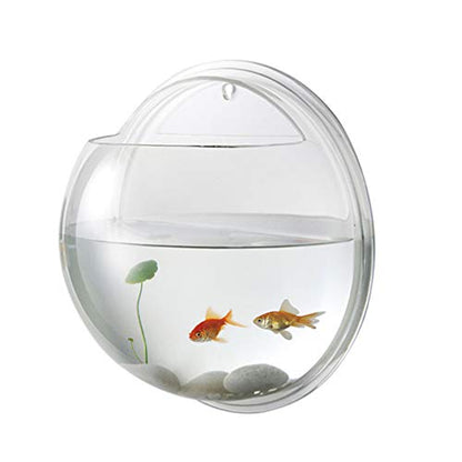 iplusmile Wall Mounted Fish Bowl 5.90 Inch Acrylic Hanging Aquarium Tank Transparent Fish Tank Home Decor Space Saving Design - size: 6 Inch