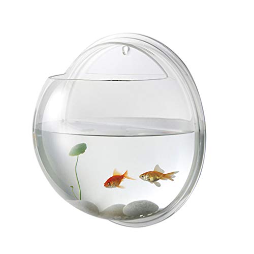 iplusmile Wall Fish Tank Transparent Acrylic Hanging Aquarium 5.90 Inch Fish Bowl for Betta Space Saving Home Decor Easy Wall Mount 1 Pack - size: 6 Inch