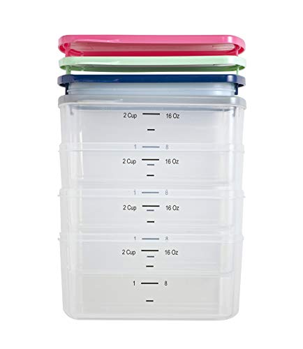 Fit & Fresh Small Plastic Containers With Lids 16 oz, Small Snack Containers With Lids For Adults and Kids, Reusable Leakproof Dressing and Condiment Containers With Two Attachable Ice Packs, 4PK, Light - size: 2 Cup