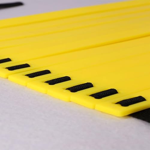 Speed Ladder Portable 12 Rung Speed Agility Equipment | 19.6ft Workout Ladder with Carry Bag for Football Basketball Baseball Tennis Volleyball Boxing Gym Outdoor Workout Fitness