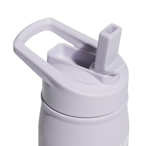 adidas Stainless Steel Metal Water Bottle 20 oz (600 mL) Straw Lid - color: Silver Dawn Grey/White