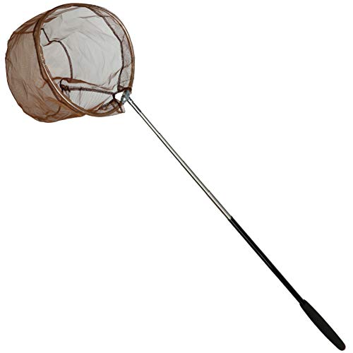 RESTCLOUD Bait Net and Fishing Landing Net with Telescoping Pole Handle Extends to 59 inches - color: Brown