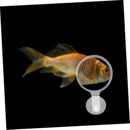 Fish Magnifying Lens Fish Tank Magnifying Glass Acrylic Underwater Viewer with Suction Cup