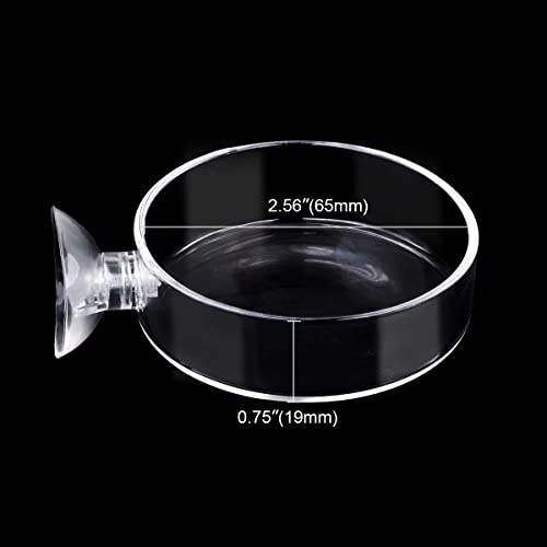 Aquarium Glass Feeder Shrimp Feeding Dish Round Clear Fish Tank Food Tray Container Prevent Food Spilling with Suction Cup, 65mm - size: 65mm