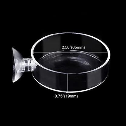 Aquarium Glass Feeder Shrimp Feeding Dish Round Clear Fish Tank Food Tray Container Prevent Food Spilling with Suction Cup, 65mm - size: 65mm