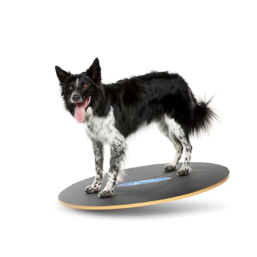 FitPAWS Wobble Board - Dog Balance Training Equipment for Core Strength & Stability Canine Fitness & Rehabilitation Tool 36" - size: 36"