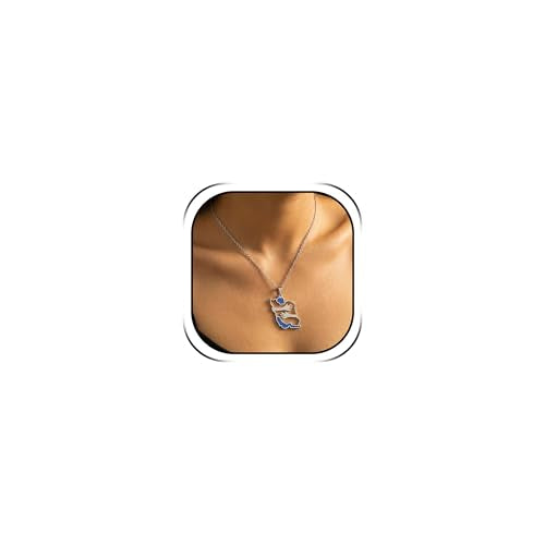 Iran Necklace Iran Map Charm Necklaces Dainty Gold Necklaces for Women Silver Jewelry Gifts for Women - color: A8：silver hug iran necklace