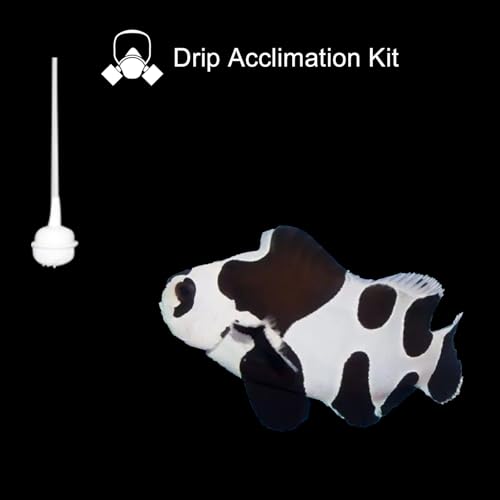 Drip Acclimation Kit for Saltwater and Freshwater Aquariums, Fish Tanks, Ensure Smooth Transition for Coral, Shrimp, Marine Fish, Navigation System Live Koi Fish, Plant Decor Security