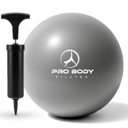 ProBody Pilates 볼 펌프 포함 소형 운동 공, 22.9cm(9인치) 바레 볼, 미니 소프트 요가 볼, 안정성을 위한 운동 공, 바, 피트니스, 복근, 코어, 물리 치료 및 물리 치료 공, 가정 체육관 및 사무실 - color: 실버