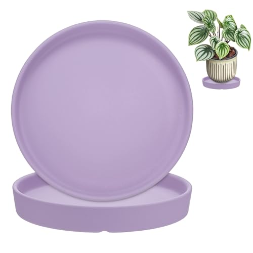 M METERXITY 2-Pack Plant Saucers, 6.3 Inch ID Anti-Rot Root Ceramic Flower Pot Plant Saucers for Indoor/Outdoor, Round Flowerpot Drip Tray [6.9 Inch OD, Purple] - color: Purple, size: 6.3 Inch