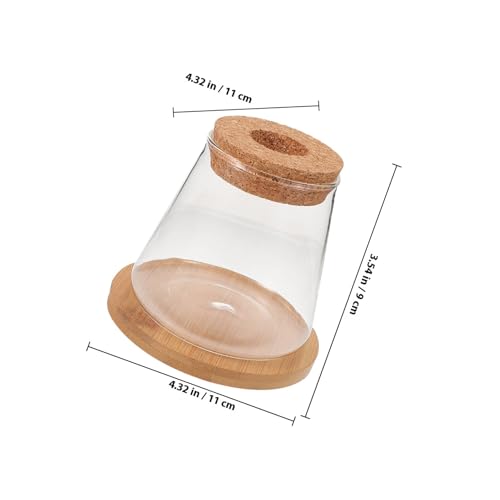 Small Glass Fish Bowl with Wooden Lid and Mat, Hydroponic Micro Landscape Planter Bottle for Desktop Betta Fish Tank and Plant Terrarium