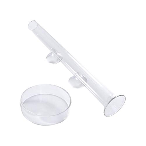 POPETPOP Feeder with Plate Shrimp Dish Feeder Container for Shrimp Tropical Fish African Dwarf Frog Aquarium Fish Tank - size: 20x3x3cm