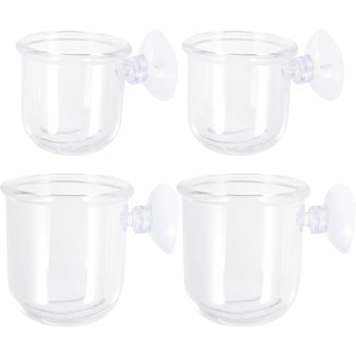 INOOMP 4pcs Aquarium Fish Feeder Cups with Suction Cups Removable Fish Food Holders Made of Water Glass Small and Large Sizes for Betta Feeding Accessories