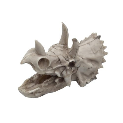 Dinosaur Skull Aquarium Decoration,Fish Tank Décor, 6.7"x3.5"x4.4" | Hideaway for Fish, Natural Look, Fun Underwater Environment - size: 6.7"
