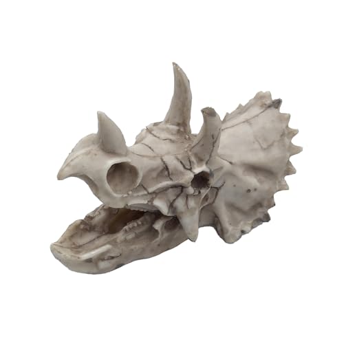 Dinosaur Skull Aquarium Decoration,Fish Tank Décor, 6.7"x3.5"x4.4" | Hideaway for Fish, Natural Look, Fun Underwater Environment - size: 6.7"