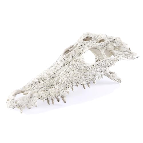 Animal Skull Fish Aquarium Hideout Decorations Cave Dinosaur Reptile Ornament Halloween Décor for Terrarium Large Betta Decor Bones - color: Crocodiles