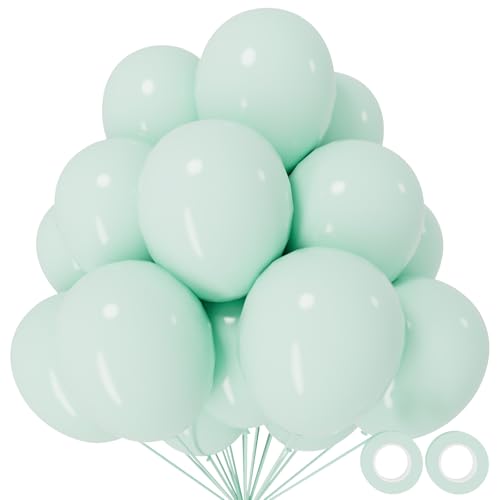 110pcs Pastel Green Balloon 12 Inch, Pastel Green Latex Balloons for Birthday Party Baby Shower Wedding(with 2 Ribbons). - color: A15-pastel Green, size: 12inch(normal)