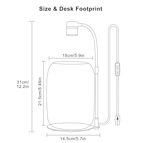 Glass Plant Terrarium with LED Grow Light, Grow Light for Terrarium, Small Desktop Indoor Planter for Venus Fly Trap, Moss & Succulents, Borosilicate Decor Jar for Plant Lovers