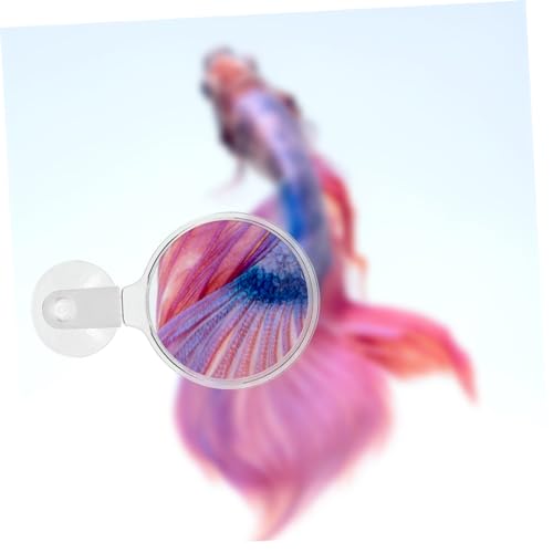 Kisangel Aquarium Magnifier for Small Animal Observation Fish Tank Viewer Enhanced for Plants Ants and Spiders Your Aquarium