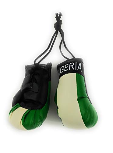 Hanging Car Mirror Mini Boxing Gloves (Nigeria) - color: Nigeria