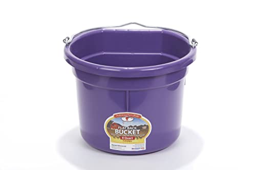 Little Giant® Flat Back Plastic Animal Feed Bucket | Animal Feed Bucket with Metal Handle | Horse Stall Feeding and Watering Supplies (Purple, 8 Quart) - color: Purple, size: 8 Quart