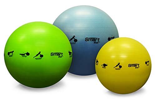 Prism Fitness Adult Stability Ball - 55 cm Yoga Ball, Yellow | Burst-Resistant PVC, 13 Printed Exercises, Air Pump Included, Inflatable Design, Balance Training, Desk Chair Alternative