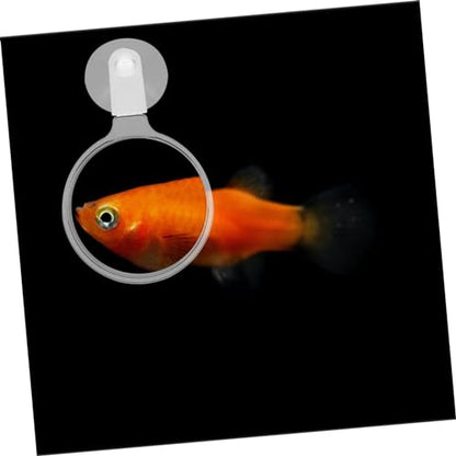 Kisangel Aquarium Magnifier for Small Animal Observation Fish Tank Viewer Enhanced for Plants Ants and Spiders Your Aquarium