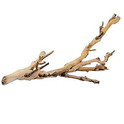Exo Terra Forest Branch Small - Natural Wood Terrarium Decoration | For Reptiles, Amphibians & Small Pets - size: Small